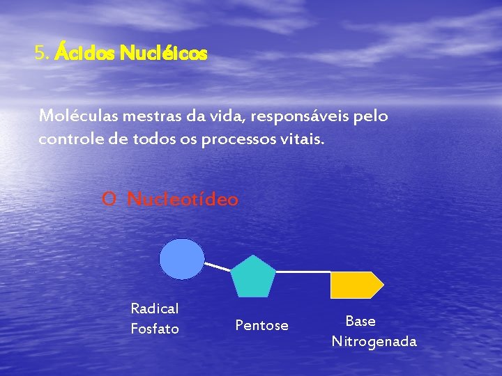 5. Ácidos Nucléicos Moléculas mestras da vida, responsáveis pelo controle de todos os processos