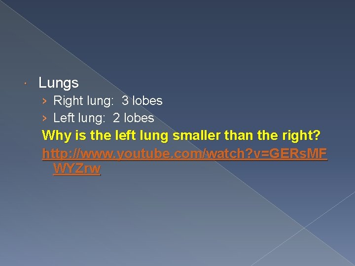  Lungs › Right lung: 3 lobes › Left lung: 2 lobes Why is
