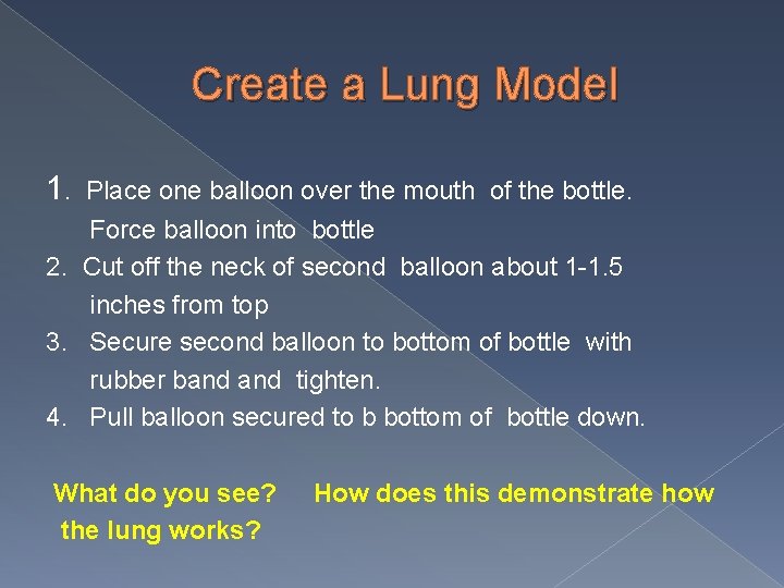 Create a Lung Model 1. Place one balloon over the mouth of the bottle.