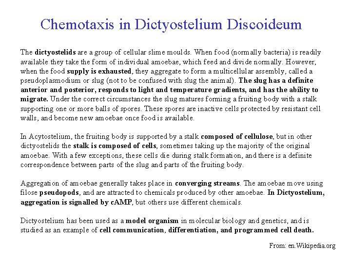  Chemotaxis in Dictyostelium Discoideum The dictyostelids are a group of cellular slime moulds.