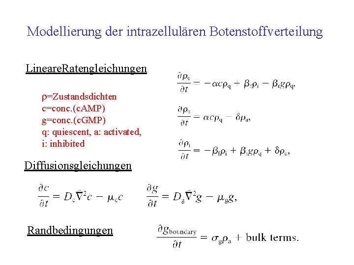 Modellierung der intrazellulären Botenstoffverteilung Lineare. Ratengleichungen =Zustandsdichten c=conc. (c. AMP) g=conc. (c. GMP) q: