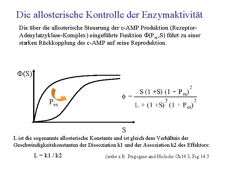 Die allosterische Kontrolle der Enzymaktivität Die über die allosterische Steuerung der c AMP Produktion