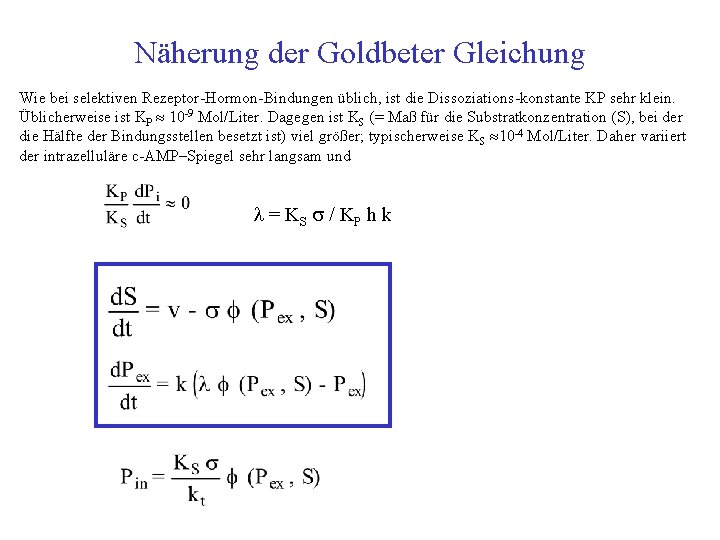 Näherung der Goldbeter Gleichung Wie bei selektiven Rezeptor Hormon Bindungen üblich, ist die Dissoziations