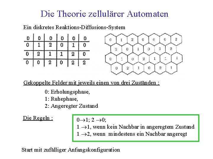 Die Theorie zellulärer Automaten Ein diskretes Reaktions Diffusions System Gekoppelte Felder mit jeweils einen