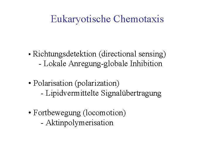 Eukaryotische Chemotaxis • Richtungsdetektion (directional sensing) Lokale Anregung globale Inhibition • Polarisation (polarization) Lipidvermittelte