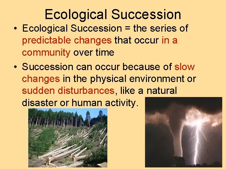 Ecological Succession • Ecological Succession = the series of predictable changes that occur in