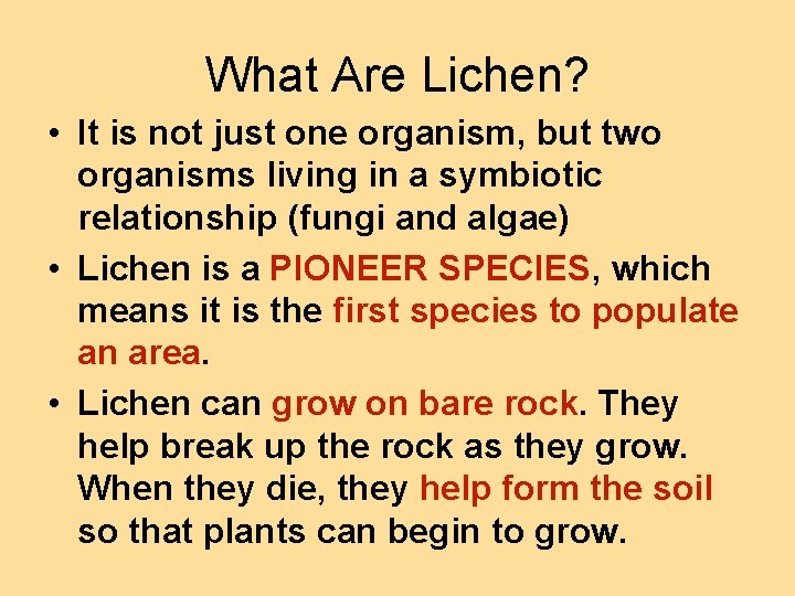 What Are Lichen? • It is not just one organism, but two organisms living