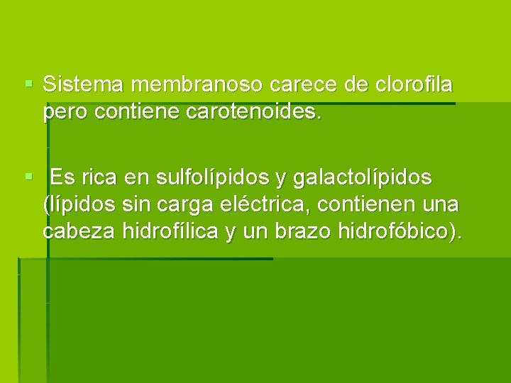 § Sistema membranoso carece de clorofila pero contiene carotenoides. § Es rica en sulfolípidos