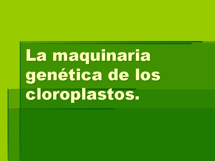La maquinaria genética de los cloroplastos. 
