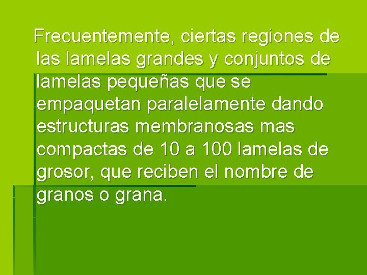 Frecuentemente, ciertas regiones de las lamelas grandes y conjuntos de lamelas pequeñas que se