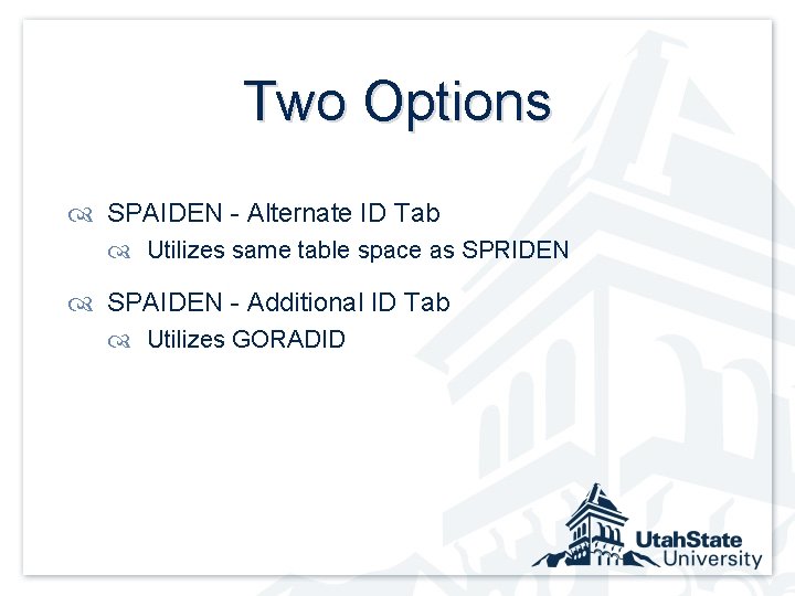 Two Options SPAIDEN - Alternate ID Tab Utilizes same table space as SPRIDEN SPAIDEN