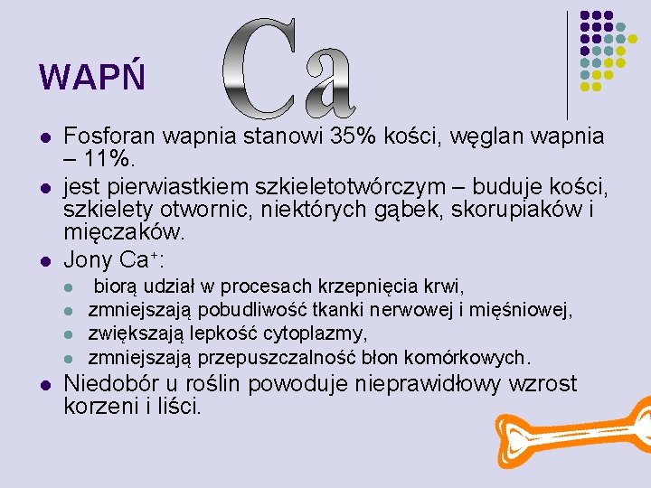 WAPŃ l l l Fosforan wapnia stanowi 35% kości, węglan wapnia – 11%. jest