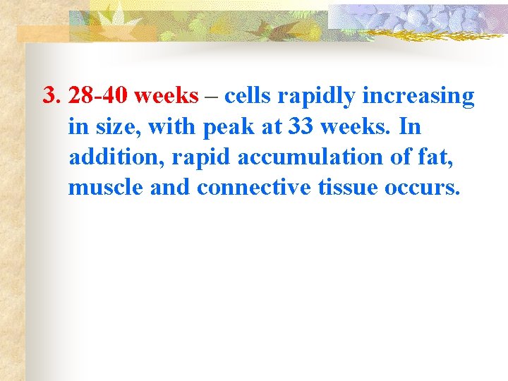 3. 28 -40 weeks – cells rapidly increasing in size, with peak at 33