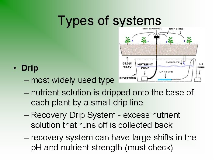 Types of systems • Drip – most widely used type – nutrient solution is