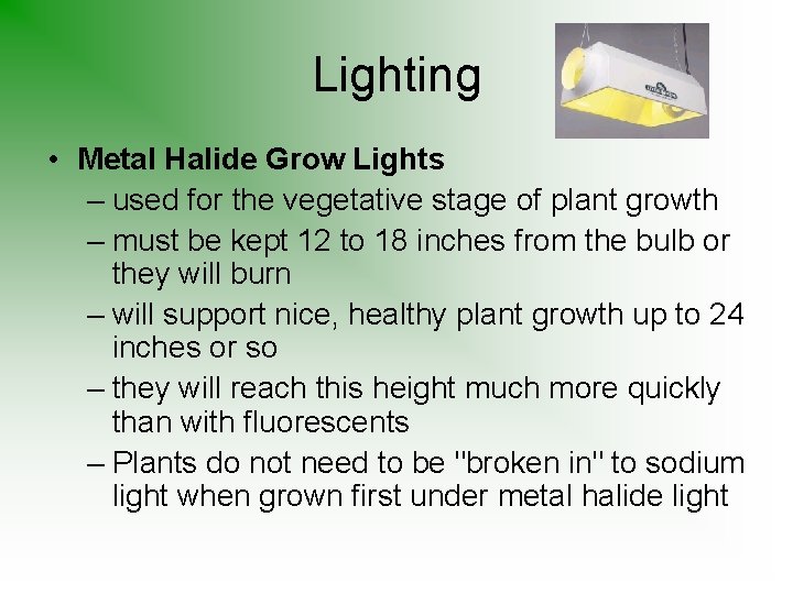 Lighting • Metal Halide Grow Lights – used for the vegetative stage of plant