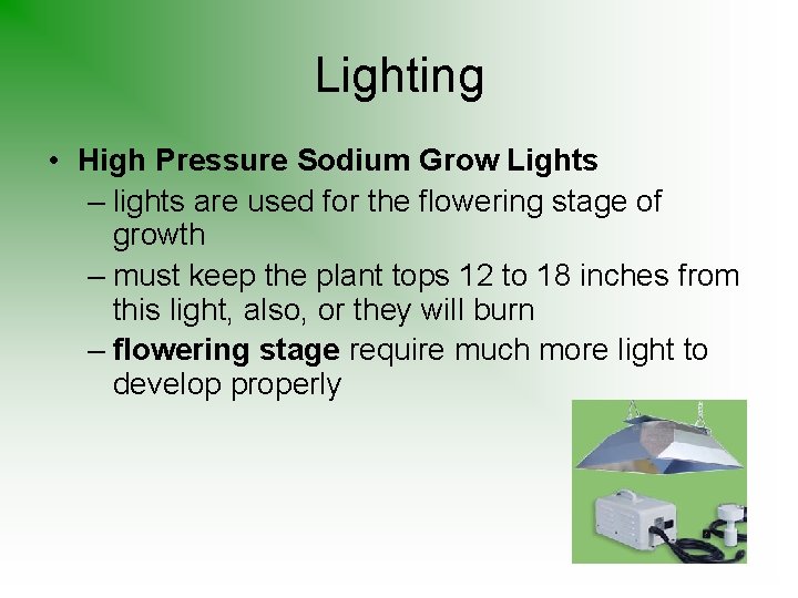 Lighting • High Pressure Sodium Grow Lights – lights are used for the flowering