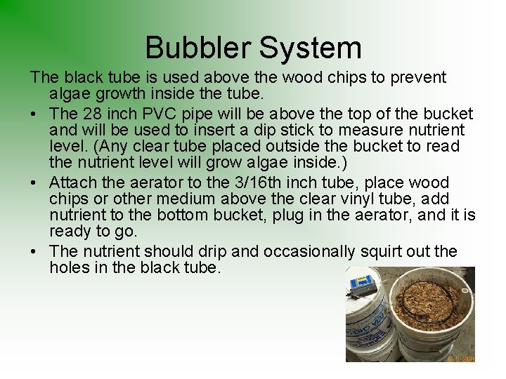 Bubbler System The black tube is used above the wood chips to prevent algae
