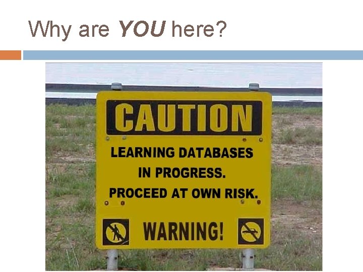 Why are YOU here? 
