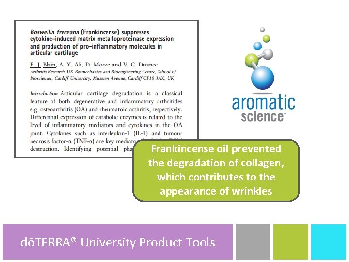 Frankincense oil prevented the degradation of collagen, which contributes to the appearance of wrinkles