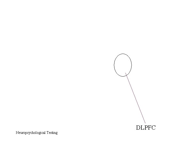 Neuropsychological Testing DLPFC 