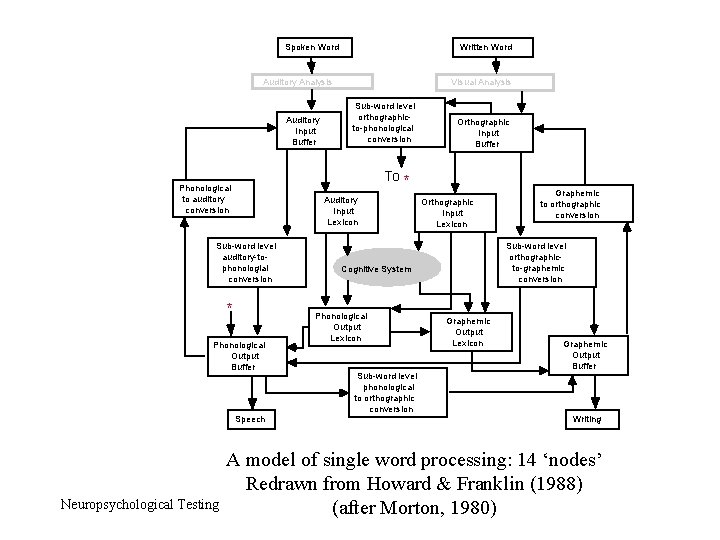 Spoken Word Written Word Auditory Analysis Auditory Input Buffer Sub-word level orthographicto-phonological conversion To