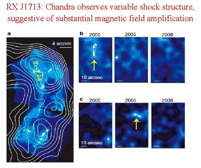RX J 1713: Chandra observes variable shock structure, suggestive of substantial magnetic field amplification