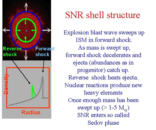 SNR shell structure Forward shock Density Reverse shock Radius Explosion blast wave sweeps up