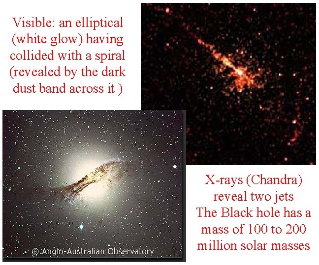 Visible: an elliptical (white glow) having collided with a spiral (revealed by the dark