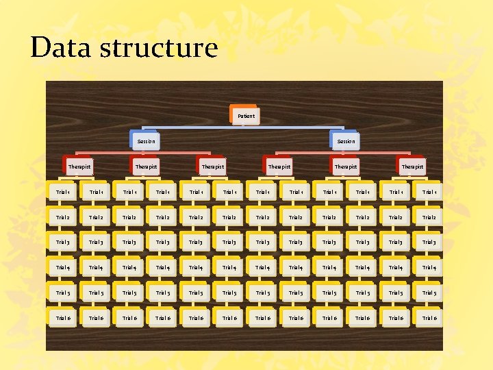 Data structure Patient Session Therapist Therapist Trial 1 Trial 1 Trial 1 Trial 2