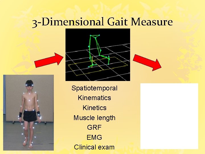 3 -Dimensional Gait Measure Spatiotemporal Kinematics Kinetics Muscle length GRF EMG Clinical exam 