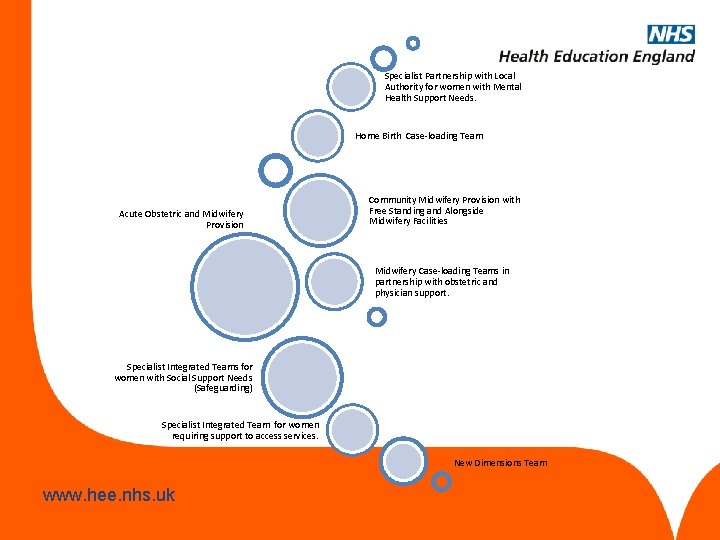 Specialist Partnership with Local Authority for women with Mental Health Support Needs. Home Birth