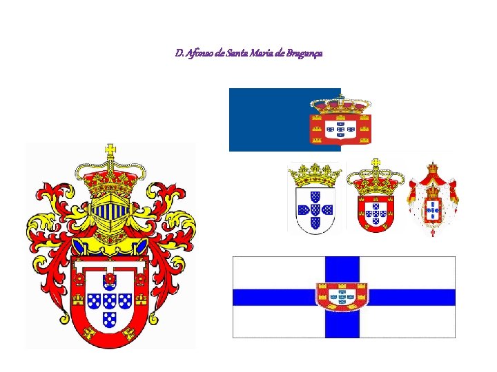 D. Afonso de Santa Maria de Bragança 