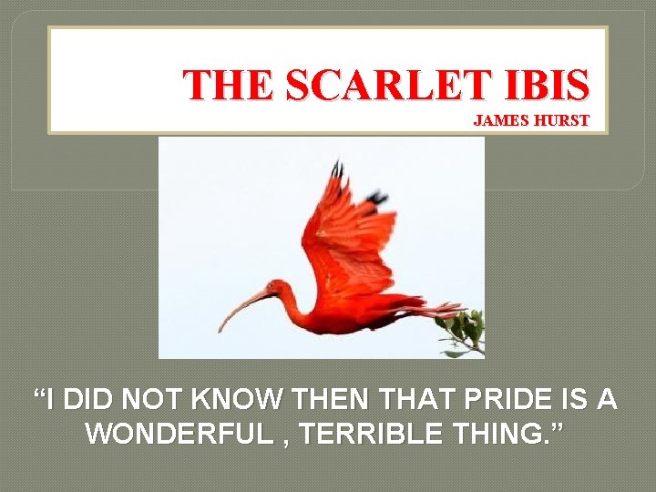 THE SCARLET IBIS JAMES HURST “I DID NOT KNOW THEN THAT PRIDE IS A