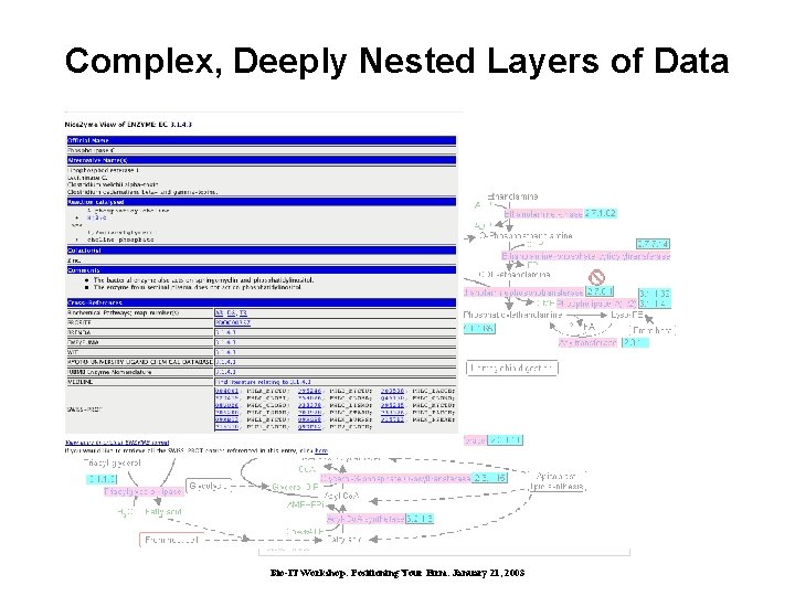 Complex, Deeply Nested Layers of Data Bio-IT Workshop: Positioning Your Firm. January 21, 2003