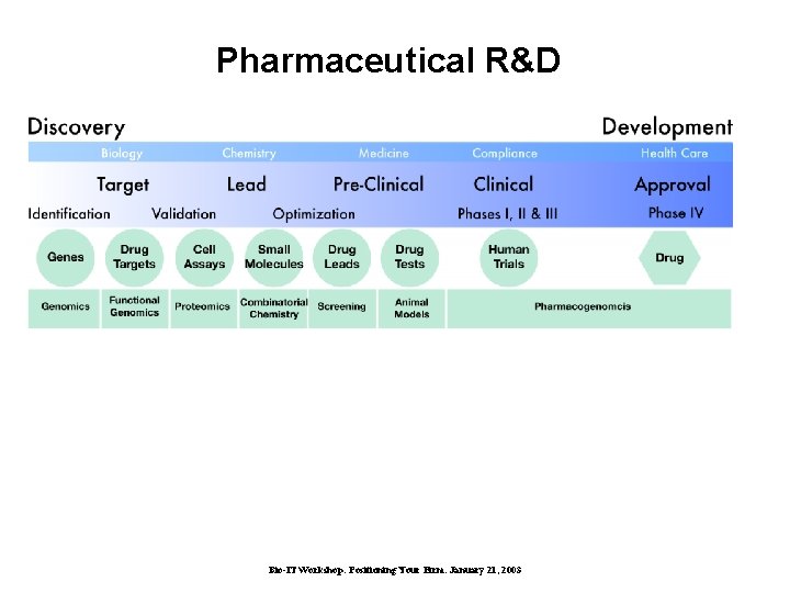 Pharmaceutical R&D Bio-IT Workshop: Positioning Your Firm. January 21, 2003 