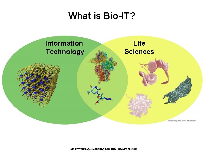 What is Bio-IT? Information Technology Life Sciences Bio-IT Workshop: Positioning Your Firm. January 21,