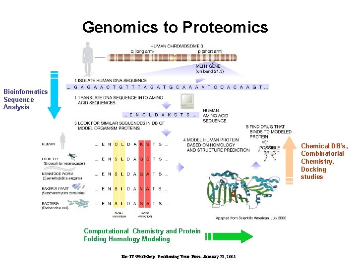 Genomics to Proteomics Bioinformatics Sequence Analysis Chemical DB’s, Combinatorial Chemistry, Docking studies Computational Chemistry