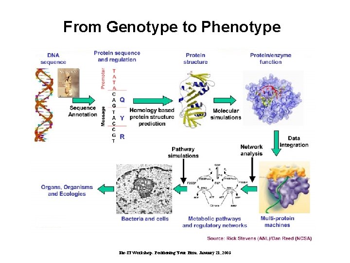 From Genotype to Phenotype Bio-IT Workshop: Positioning Your Firm. January 21, 2003 