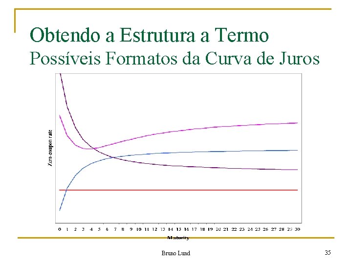 Obtendo a Estrutura a Termo Possíveis Formatos da Curva de Juros Bruno Lund 35