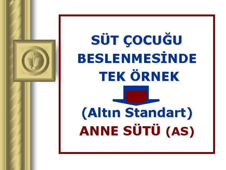 SÜT ÇOCUĞU BESLENMESİNDE TEK ÖRNEK (Altın Standart) ANNE SÜTÜ (AS) 