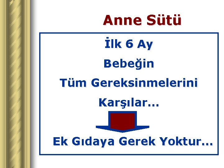 Anne Sütü İlk 6 Ay Bebeğin Tüm Gereksinmelerini Karşılar… Ek Gıdaya Gerek Yoktur… 