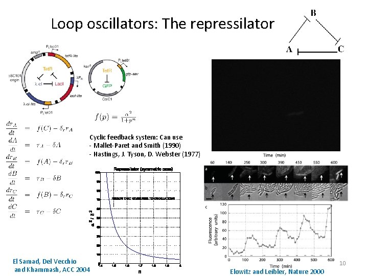 Loop oscillators: The repressilator Cyclic feedback system: Can use - Mallet-Paret and Smith (1990)