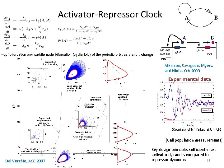 Activator-Repressor Clock A Lac. I-rep NRI-act gln. G B gln. Kp lac. I IPTG