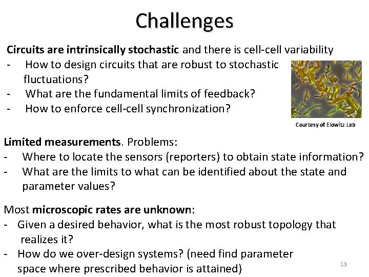 Challenges Circuits are intrinsically stochastic and there is cell-cell variability - How to design