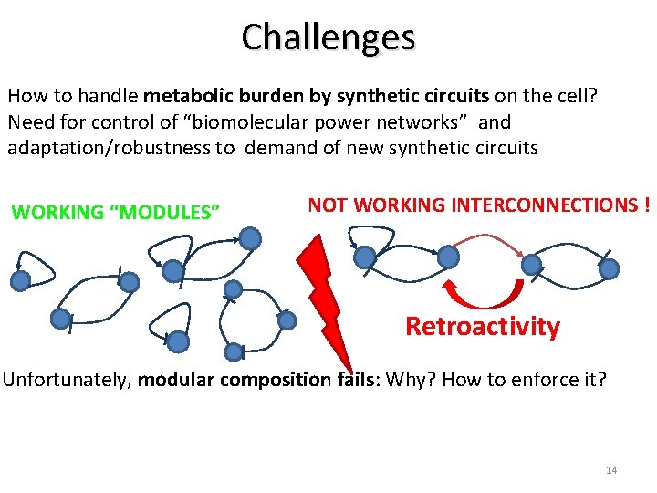 Challenges How to handle metabolic burden by synthetic circuits on the cell? Need for