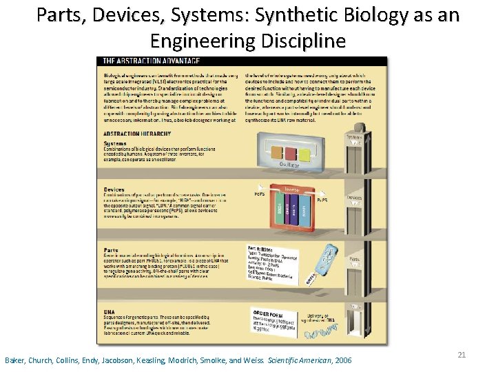 Parts, Devices, Systems: Synthetic Biology as an Engineering Discipline Baker, Church, Collins, Endy, Jacobson,