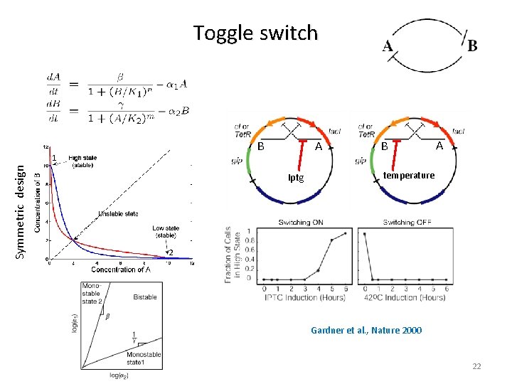 Toggle switch 1 Symmetric design A B Iptg B A temperature 2 Gardner et