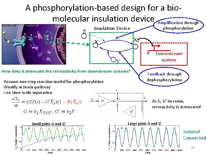 A phosphorylation-based design for a biomolecular insulation device Amplification through Insulation Device phosphorylation p