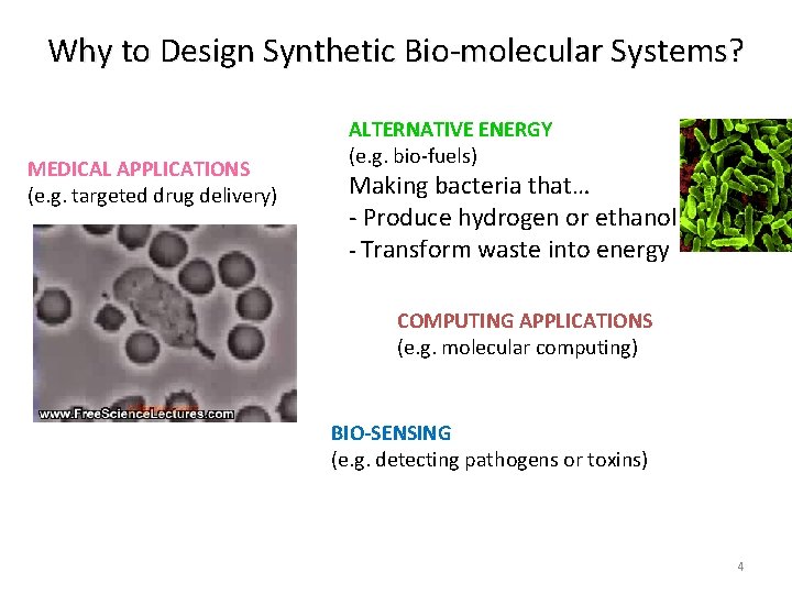 Why to Design Synthetic Bio-molecular Systems? MEDICAL APPLICATIONS (e. g. targeted drug delivery) ALTERNATIVE