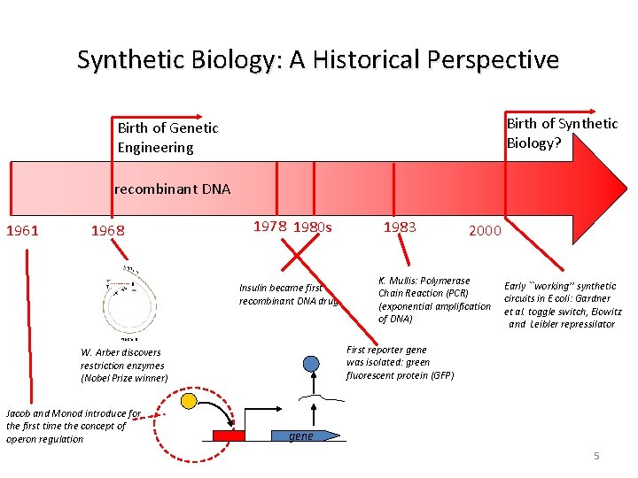 Synthetic Biology: A Historical Perspective Birth of Genetic Engineering recombinant DNA 1978 1980 s